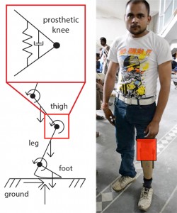 A diagram of the mechanical elements of the All-Terrain Knee developed by the MIT GEAR Lab.  http://gear.mit.edu/Research_Projects/ATKnee.html